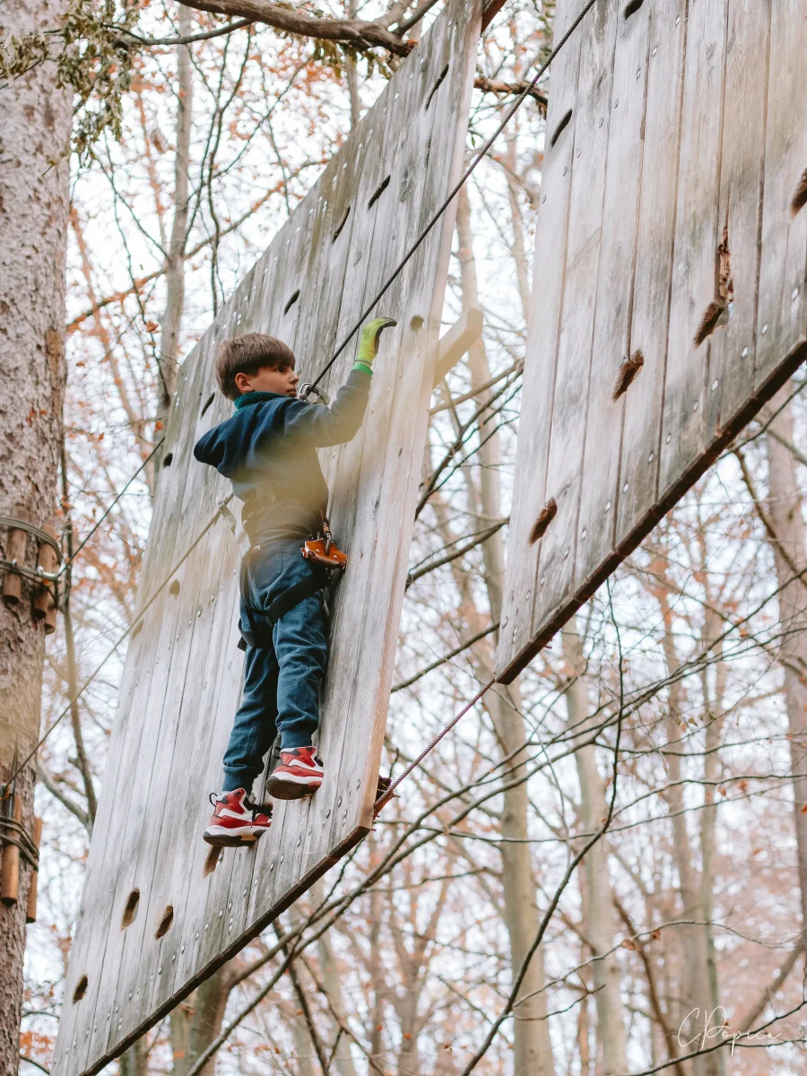 Parc Aventura Brasov - 2022