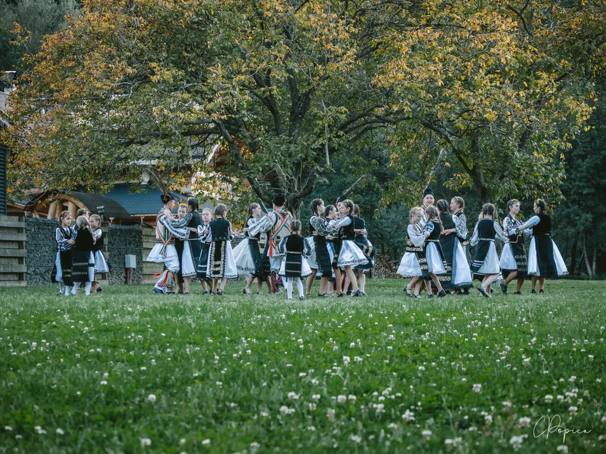 Dancers in Hunedoara - 2024