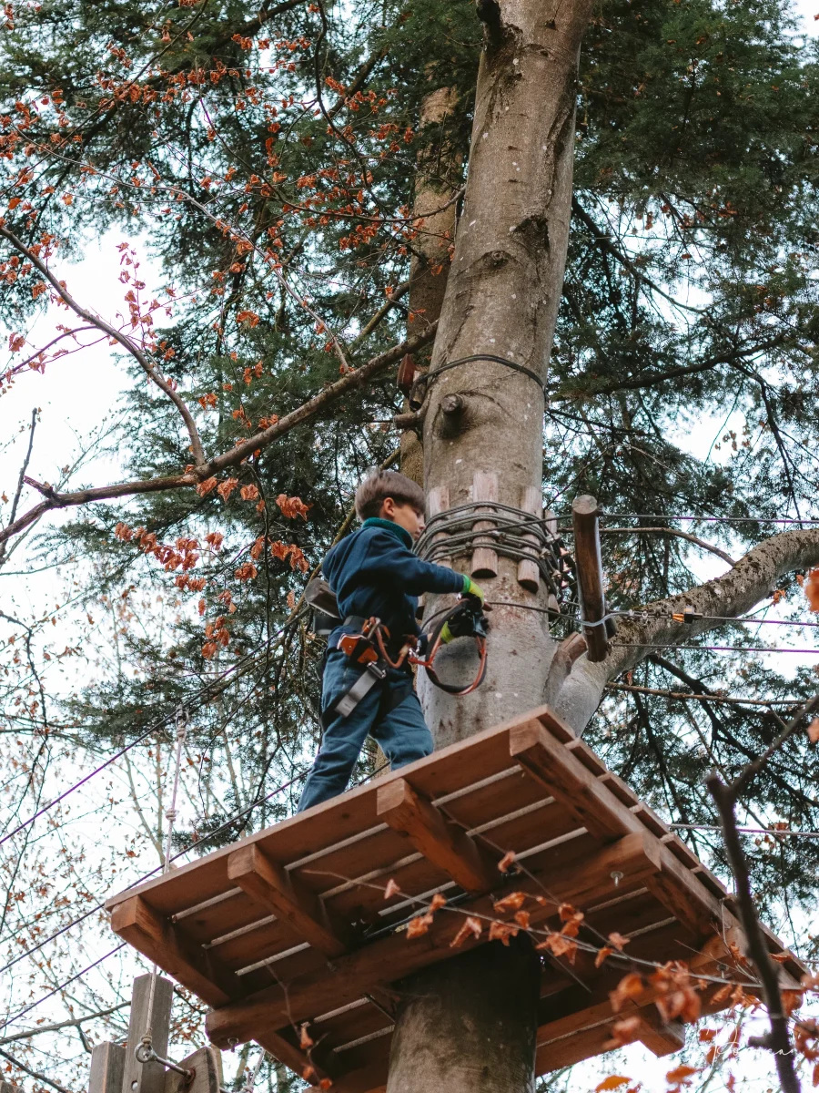 Parc Aventura Brasov - 2022