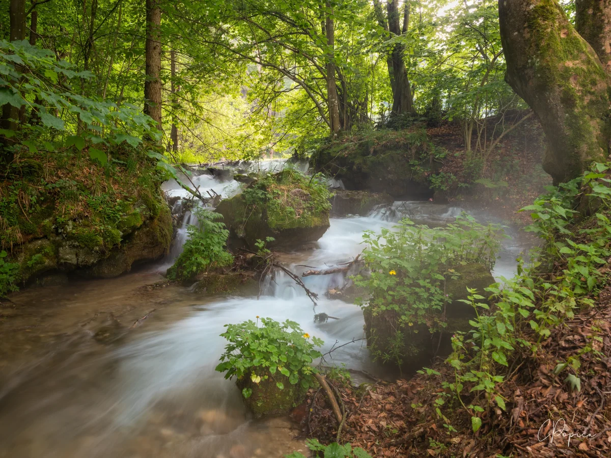 The Hidden Waterfall - 2025