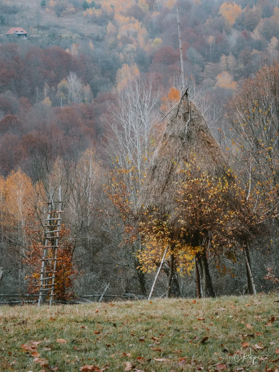 Autumn In Cioclovina - 2024