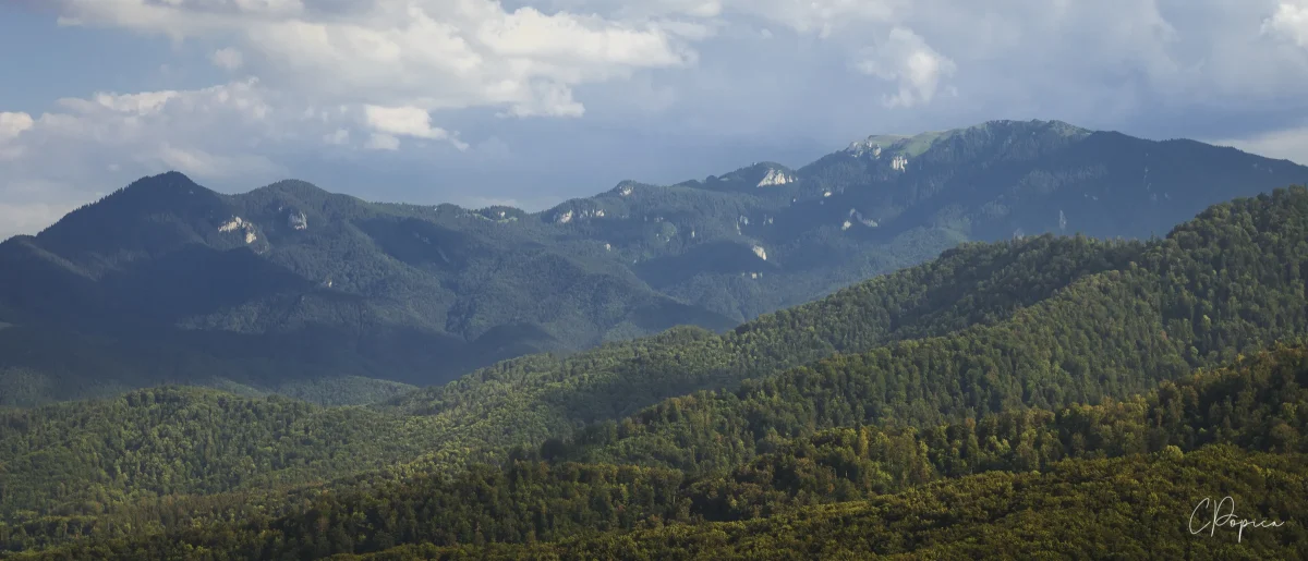 View From Tampa Peak - 2020
