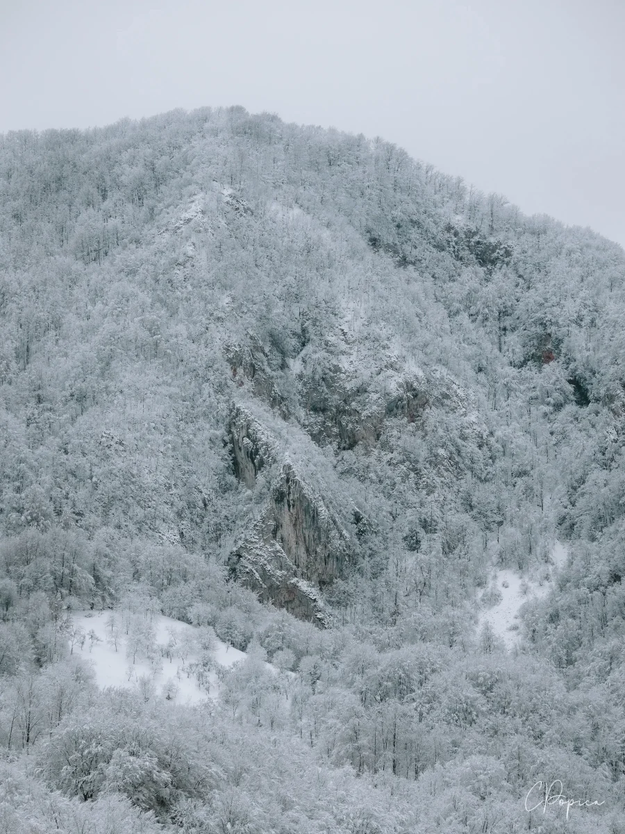 Winter In Cioclovina - 2024