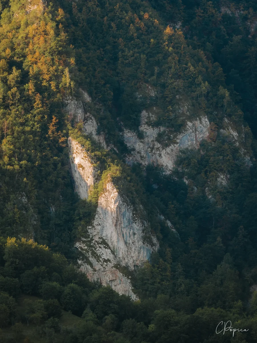 The Quiet Mountain - 2024