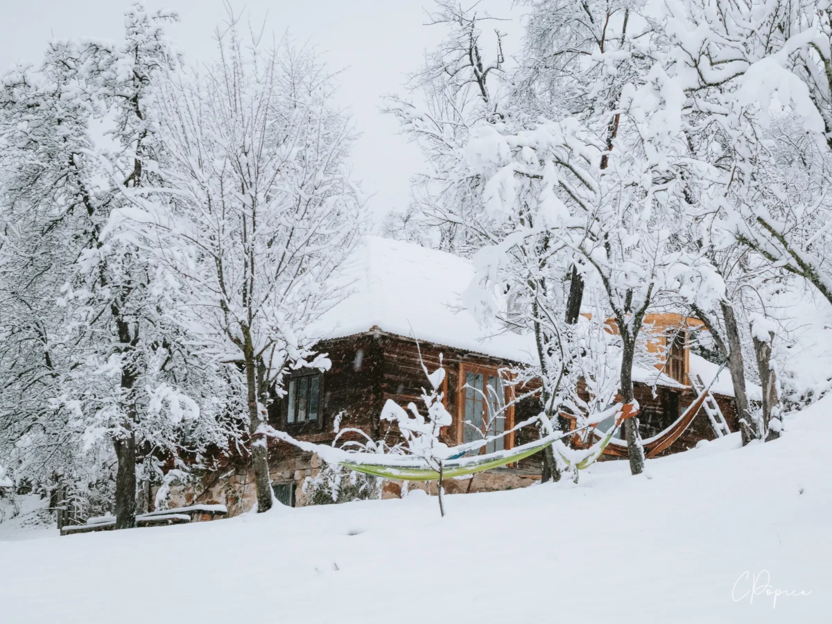 First Snow - 2024