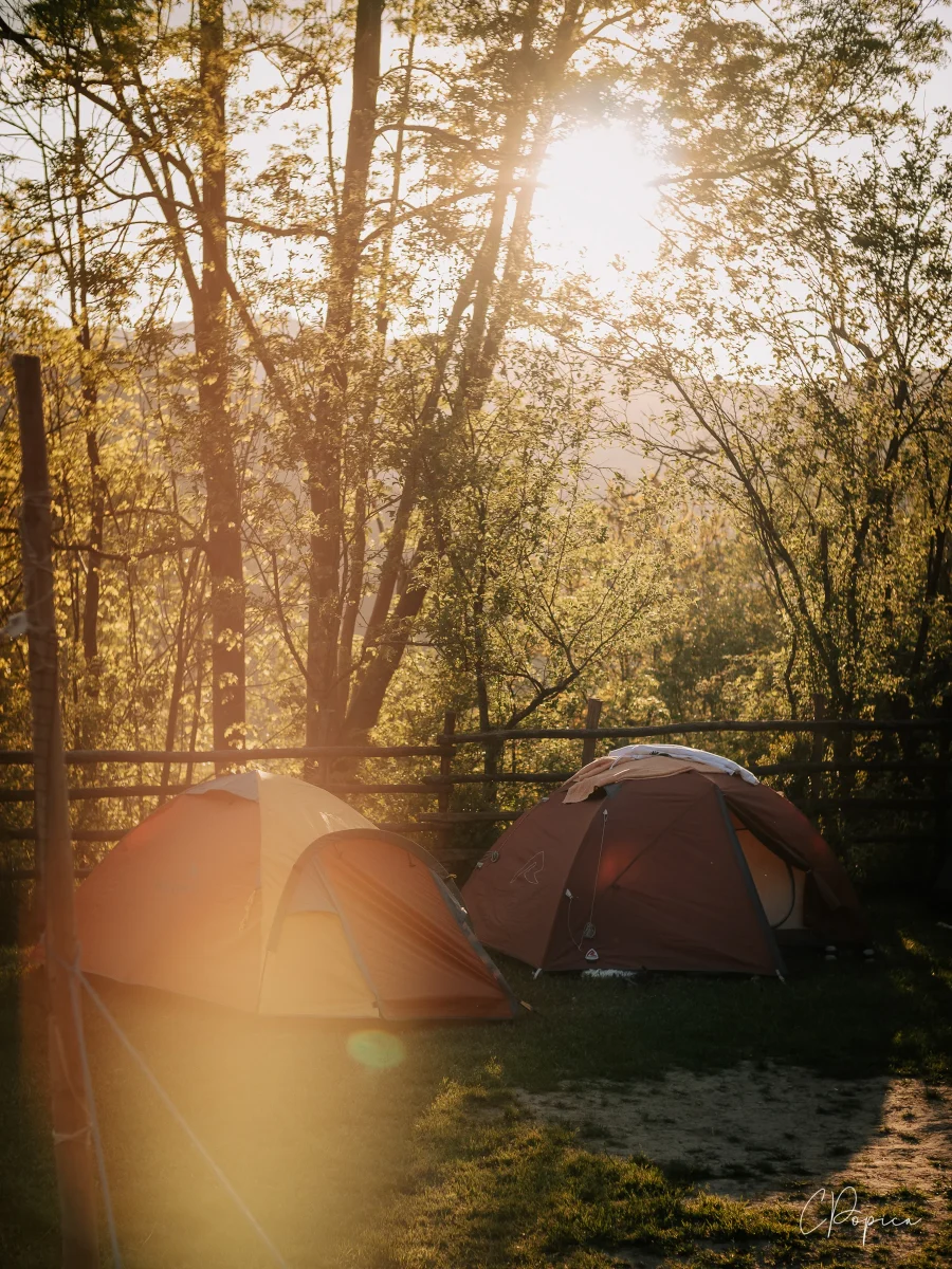 Tent Under The Sun - 2025