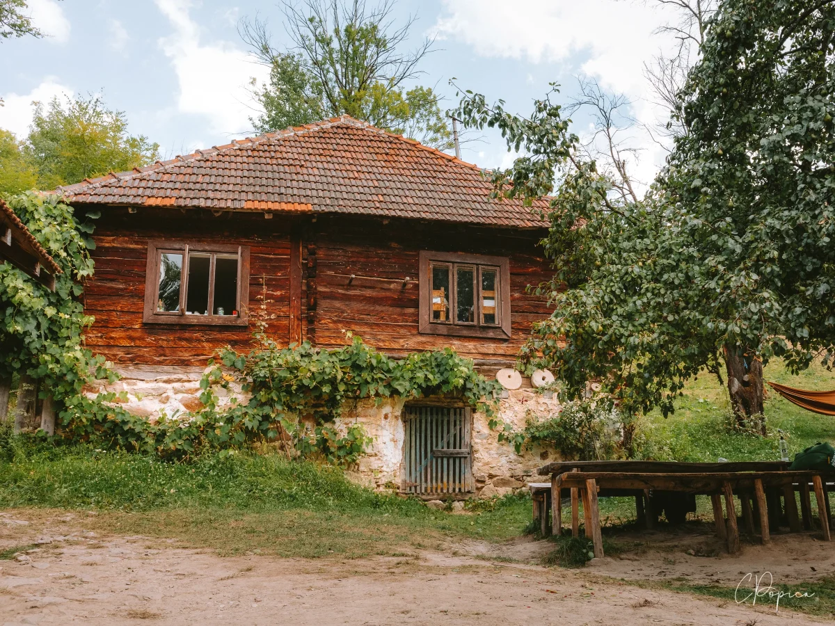Cioclovina Scouts Camp - 2024