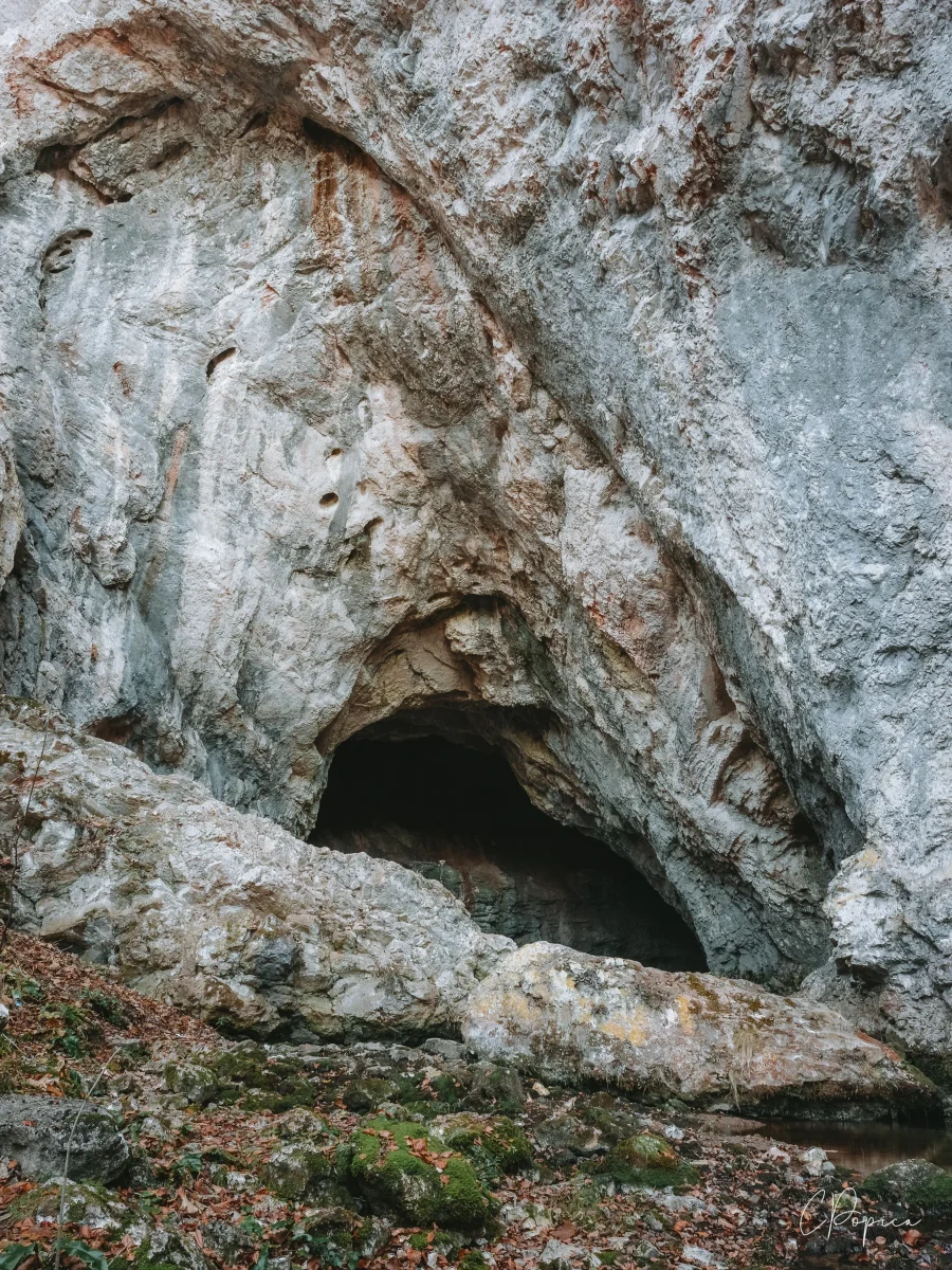 Cioclovina Cave - 2024