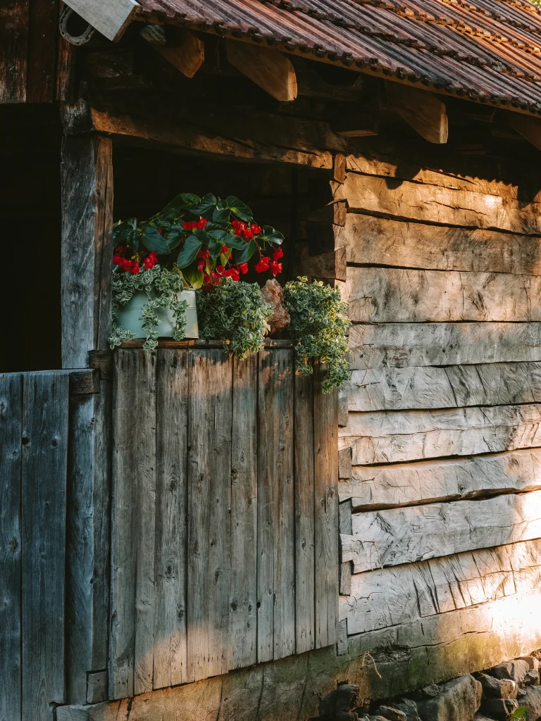Discover Romania with Ciprian Popica