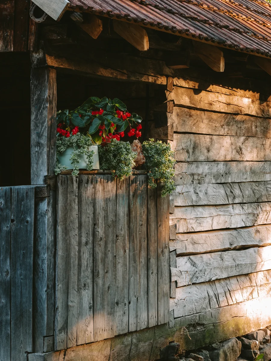 Discover Romania with Ciprian Popica